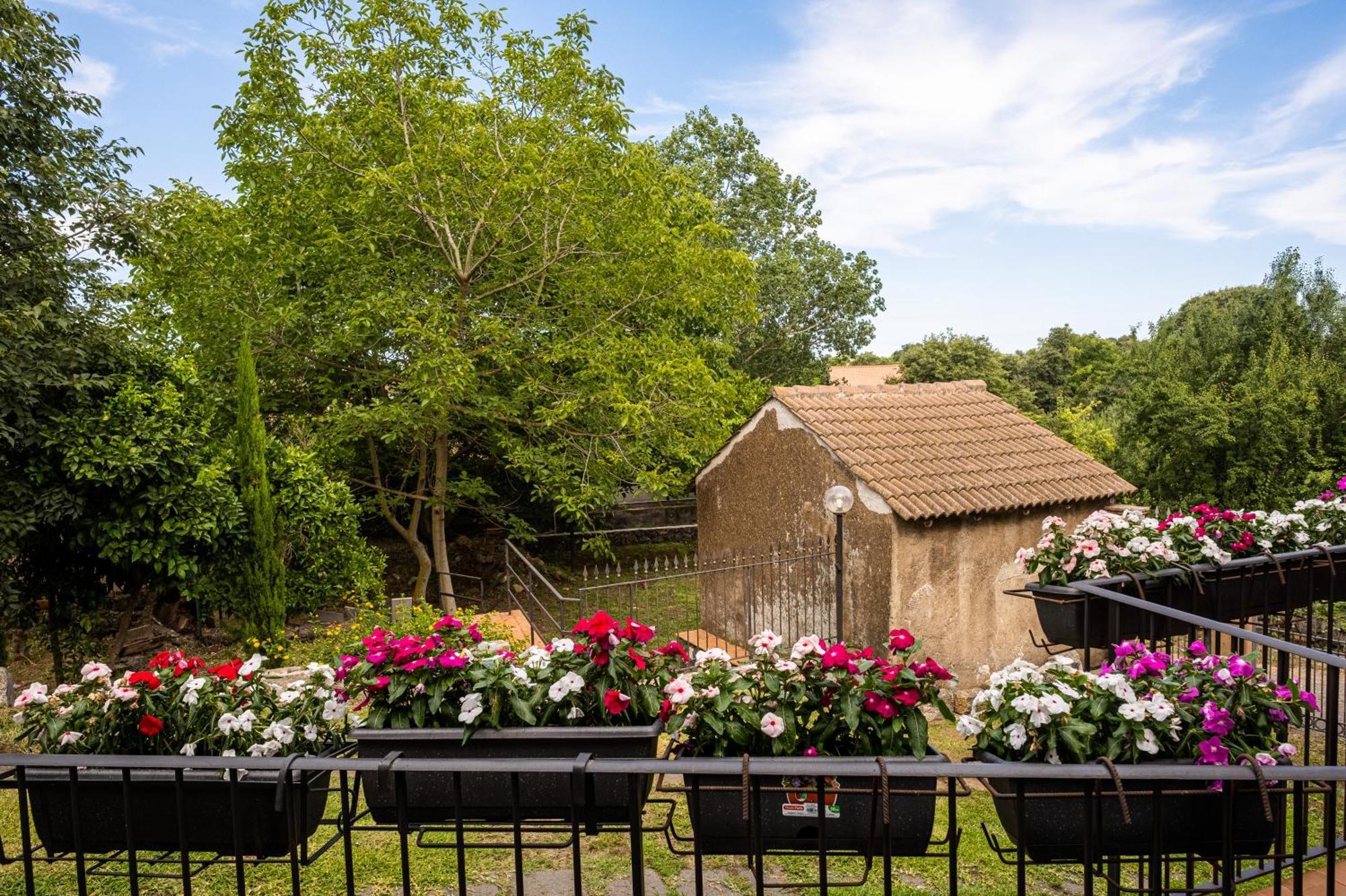 Vila Domus Vini San Giovanni La Punta Exteriér fotografie
