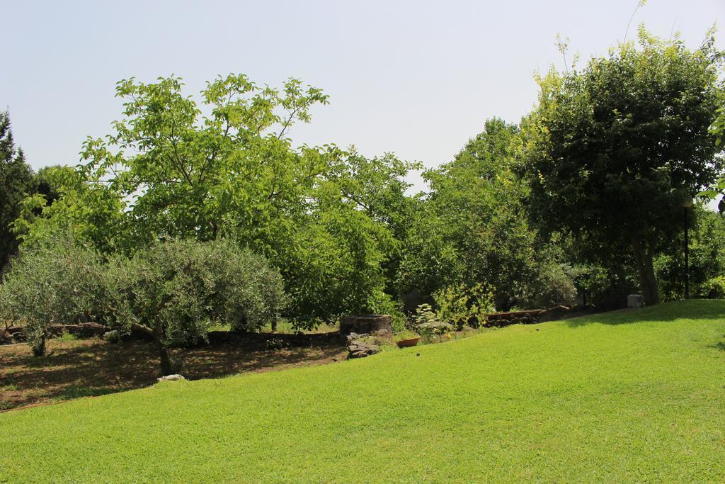 Vila Domus Vini San Giovanni La Punta Exteriér fotografie
