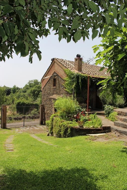 Vila Domus Vini San Giovanni La Punta Exteriér fotografie